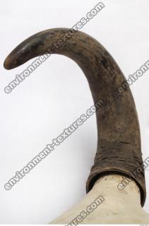 skull antler 0021